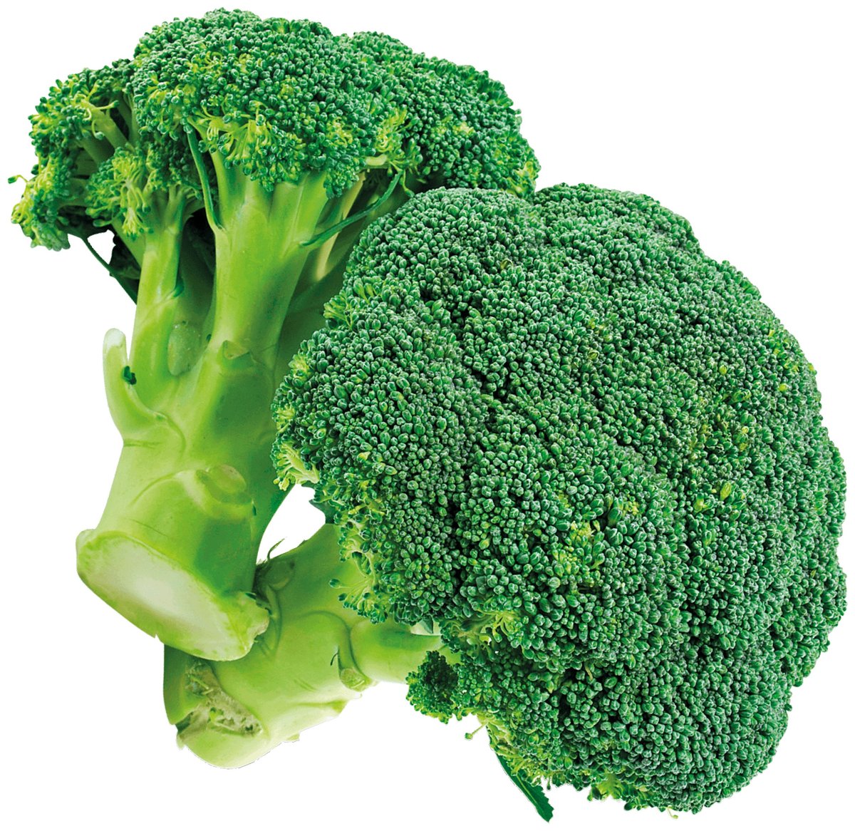 Brócoli