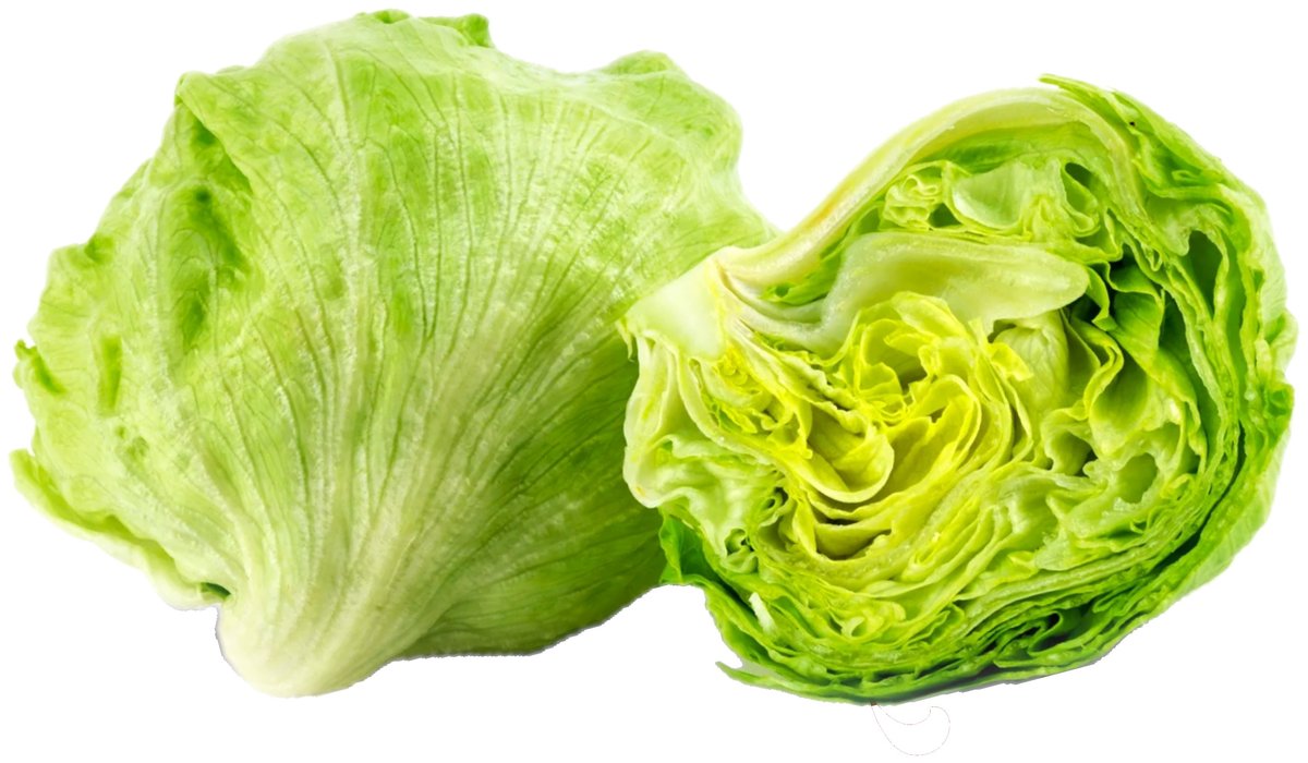 Lechuga Romana