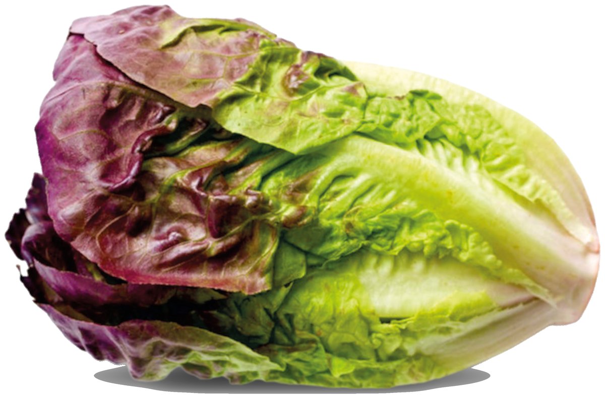 Lechuga Sangría